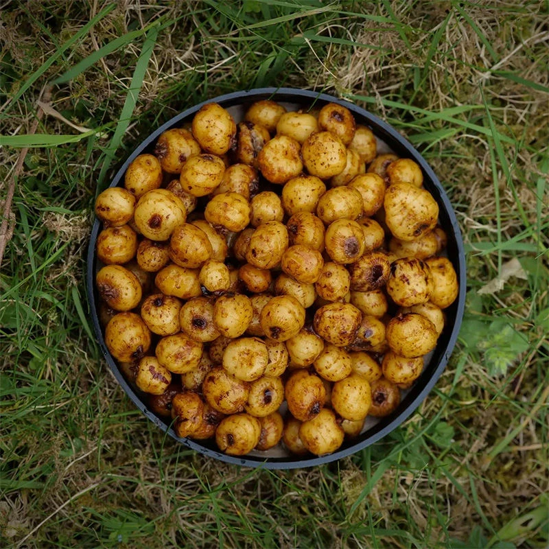 Parker Baits Nossa Nuts Jars